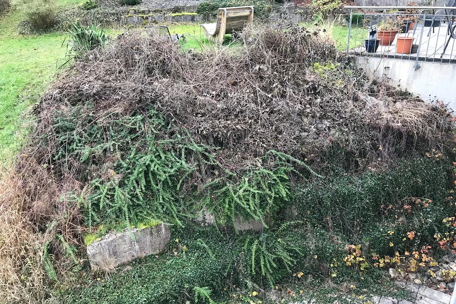 Vorher: verwilderter, zugewachsener Hang